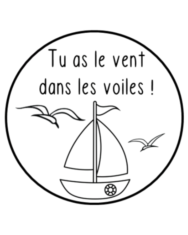 SAILING SHIP